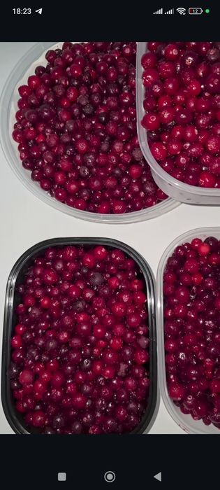 Клюква приз из России лечебные