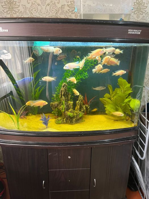 Аквариум сатылады