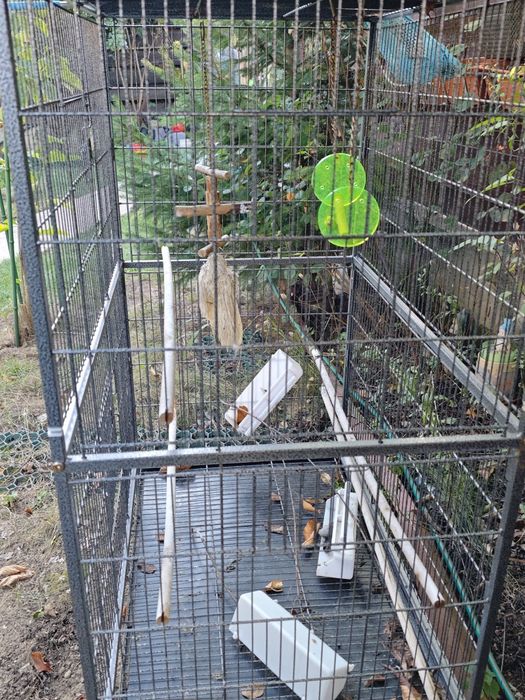 Voliera papagali/pasari exotice