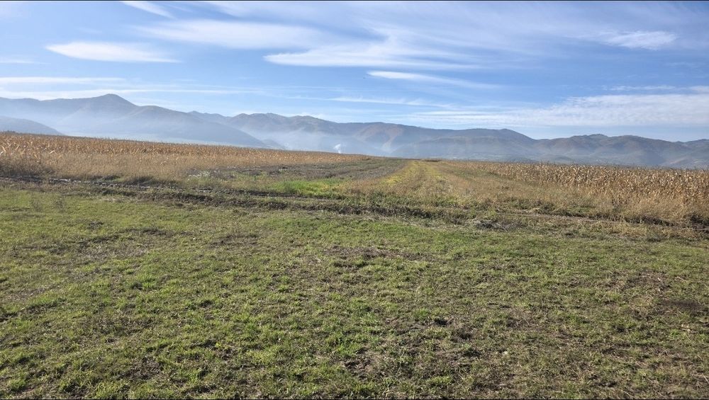 Vand teren extravilan 4350 mp langa Cristian, peste drum de ferma pui