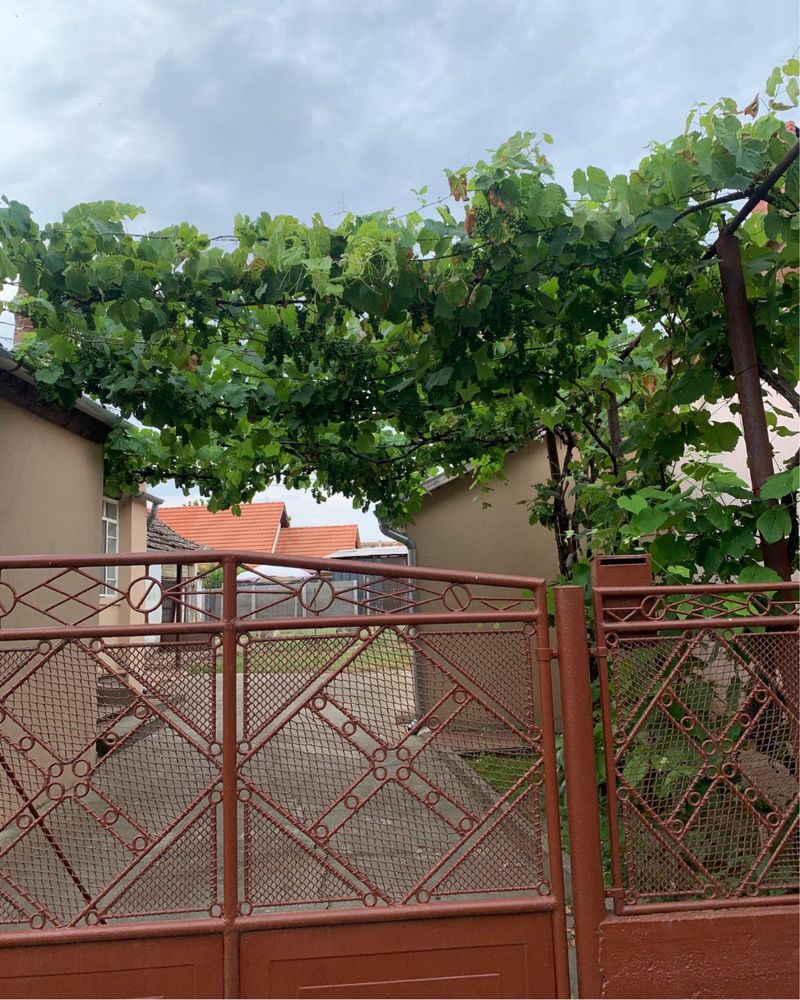 Casa de vanzare zona centrala Lovrin langa parc biserica piata strand