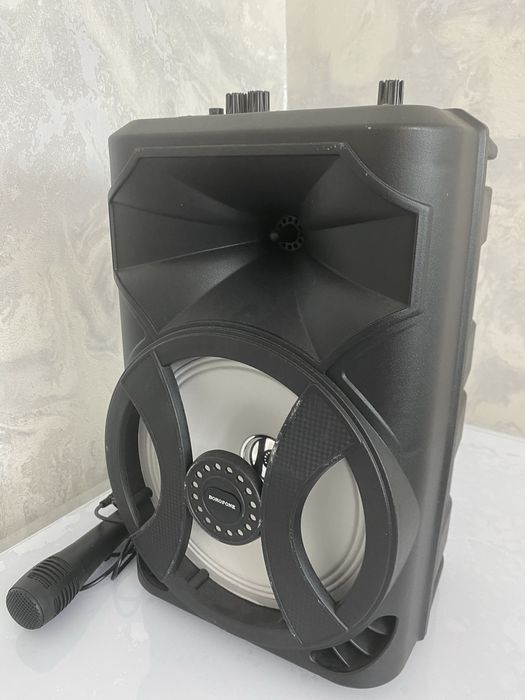 Караоке колонка в хорошем состояний