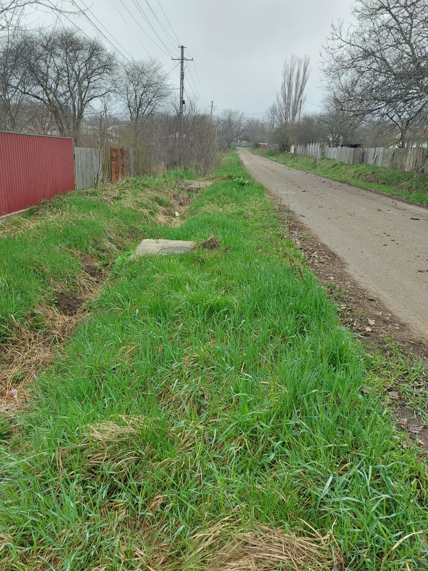 vand grădină,  3700 mp