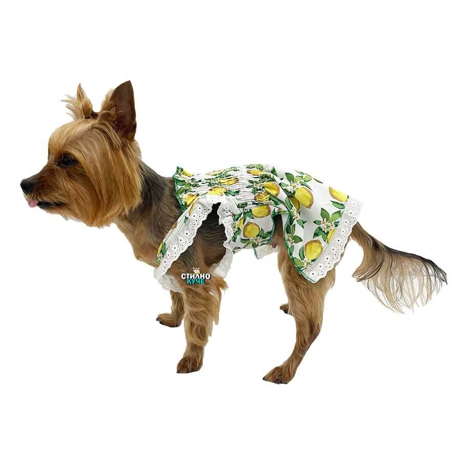 Рокля за куче Кучешки рокли Рокли за кучета Кучешка рокля