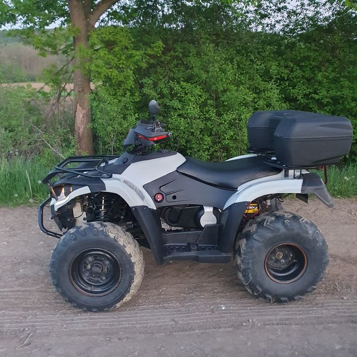 ATV Linhai 310 Dragonfly 2013 4x4