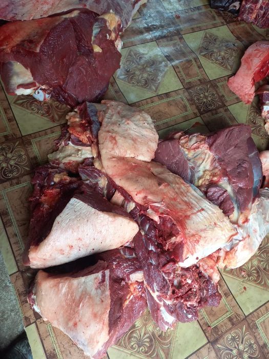 Семiз жылқы еті бар жiлiкке наличка 2500тнг