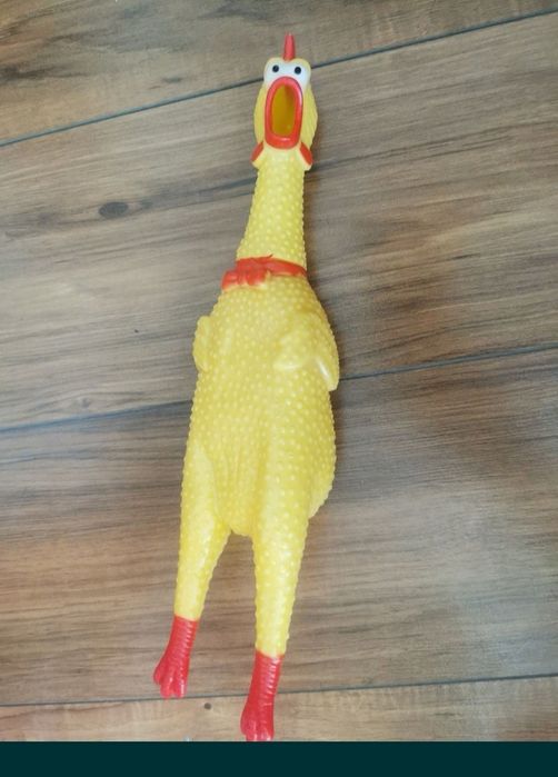 Jucărie câine Jucărie găină pui