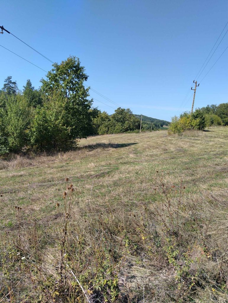 Продава се Земеделски имот в Габрово, Киевци -  кв.м за 1785 €/дка - Снимка #3