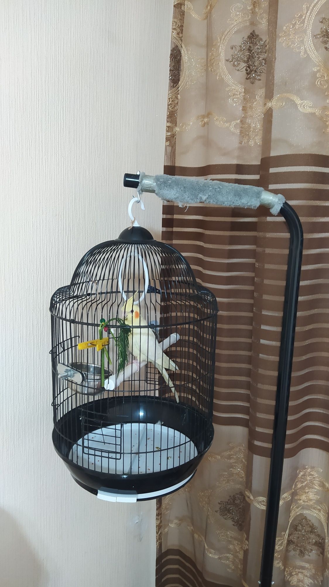 Карела с клеткой.