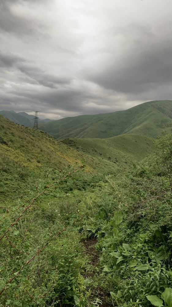 Участок в горах 20 га
