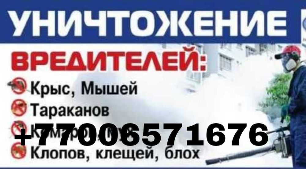 Шымкент дезинфекциия