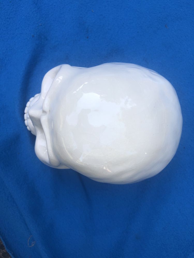 Craniu,skull realistic ,din ceramica emailata