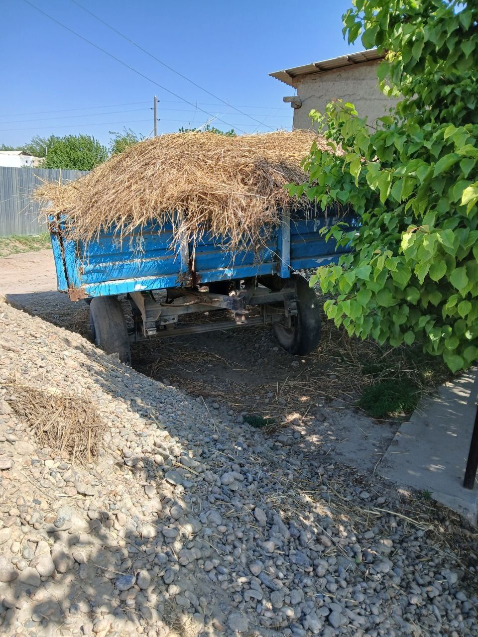 Traktor prisepi tezda sotiladi