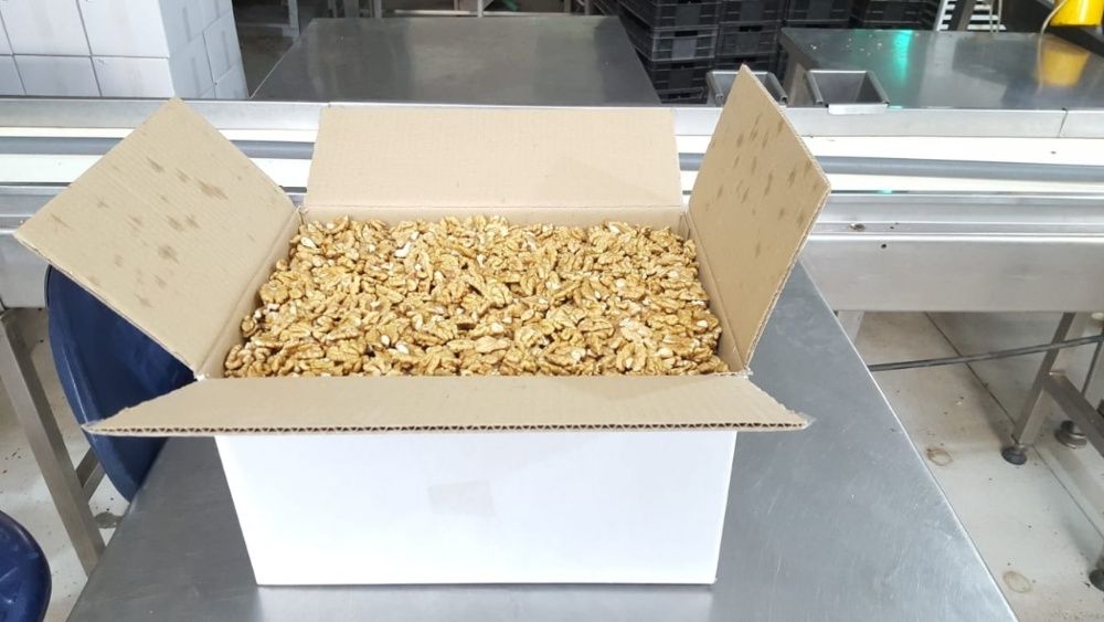 Градински орех и орехова ядка прясна реколта 2024