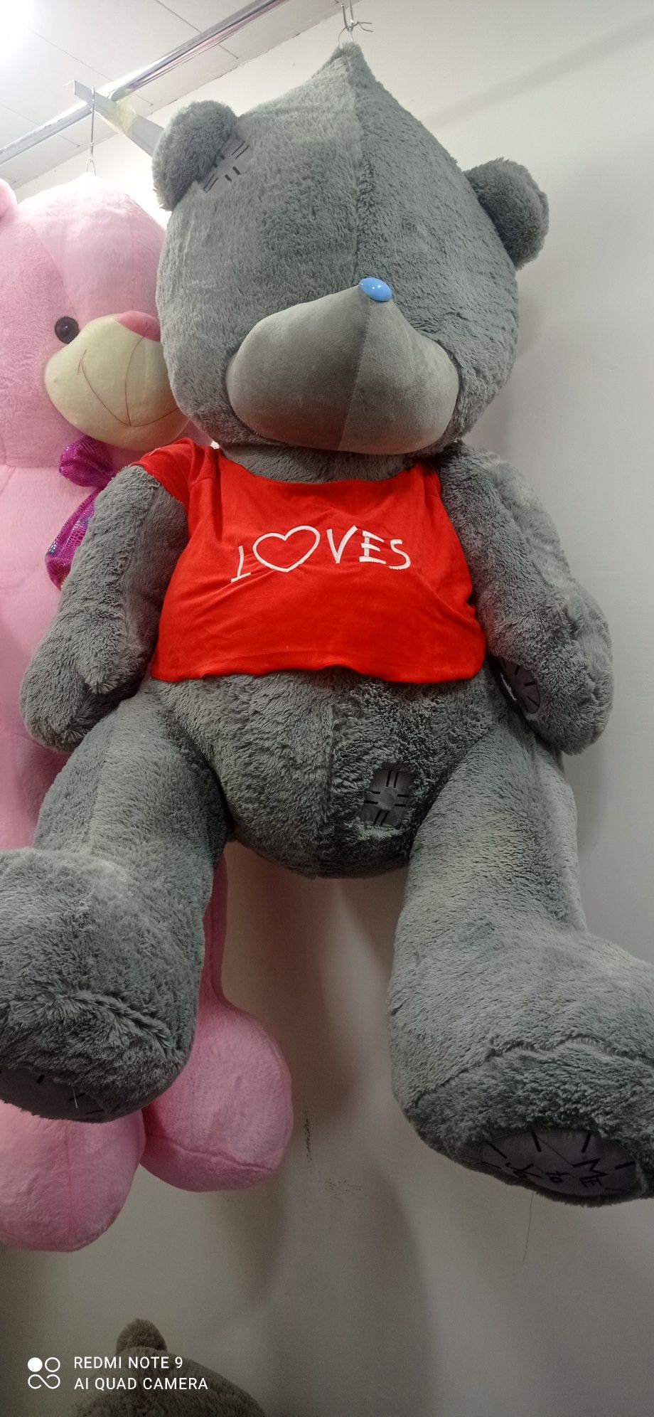 Teddy...теддииии.. Mishkaa