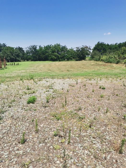 Vînd teren intravilan în localitatea Albina .