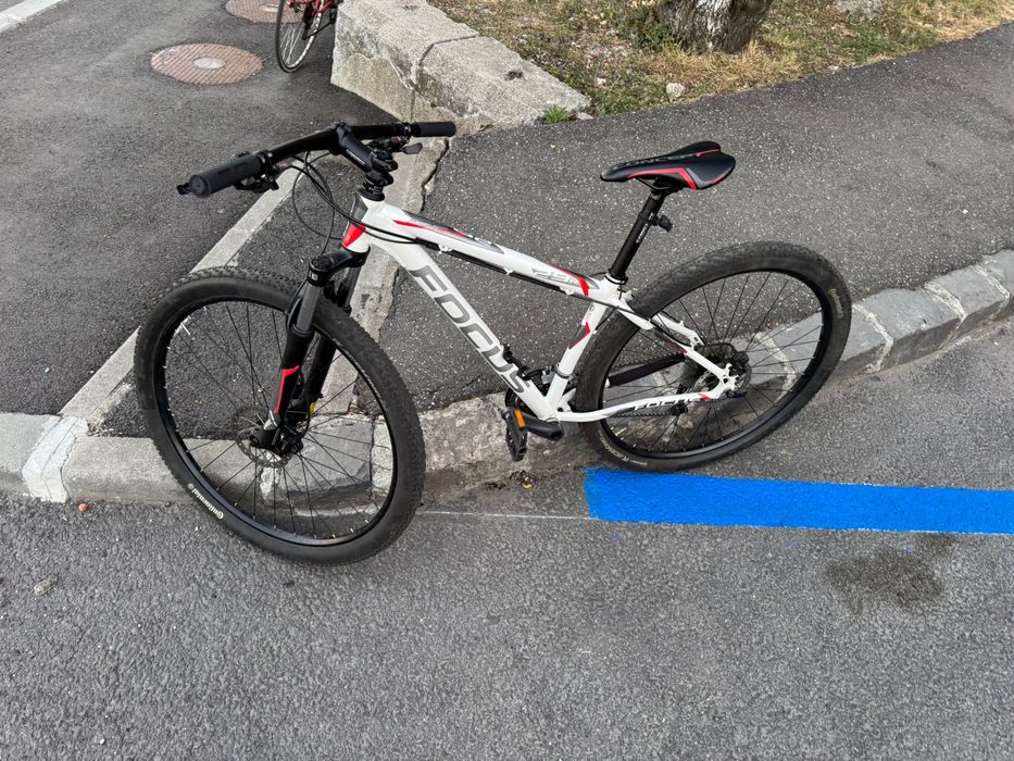 Bicicleta Focus Whistler 29”
