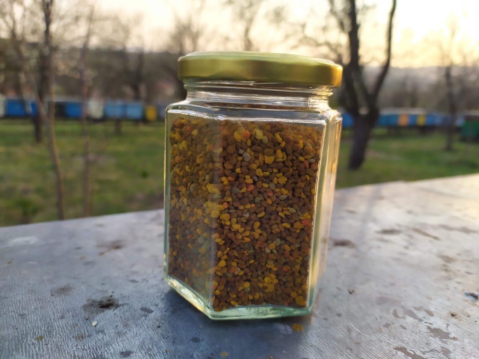 Polen crud de primăvară