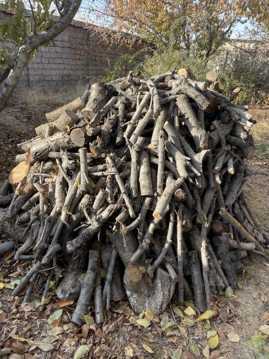 Мевали дарахт ўтинлари