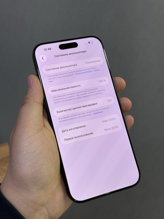 Iphone 16 Pro Max 256 GB 100% | Mobile Zone