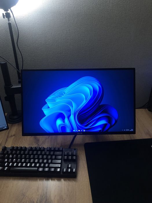 Asus Tuf VG259QM монитор 280 гц