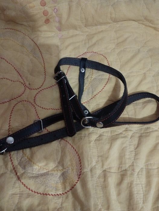 Шлейка коженая новая