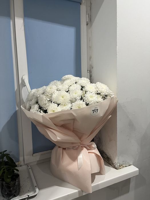 Цветы хризантема