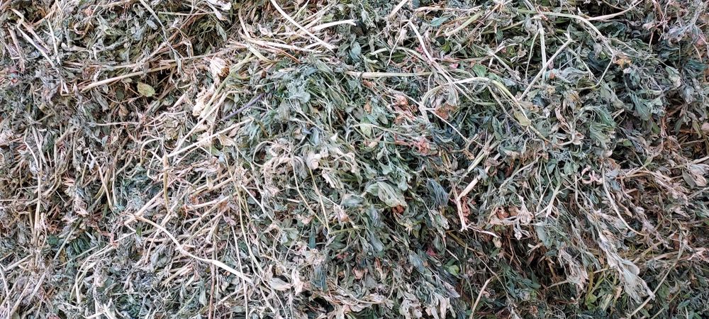 Baloți de lucernă, fân rotund,dreptunghiular!