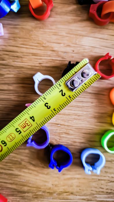 OFERTA Inele Clipsuri Colorate Pasari/ Cabluri/ Fire - 10 Culori