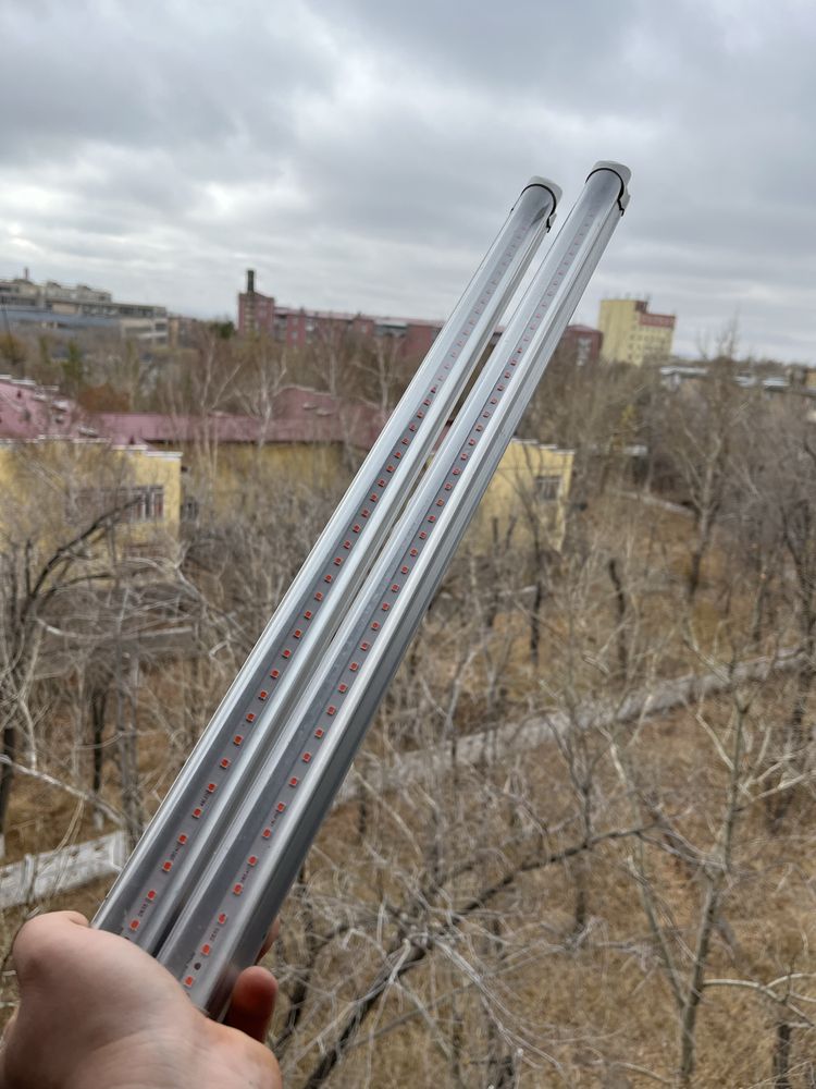 Лампы ультрафиолет для растений