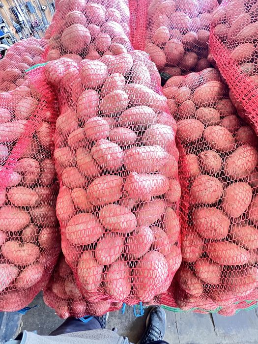 Vând cartofi consum , sãmânța și cartofi pentru animale , încantități