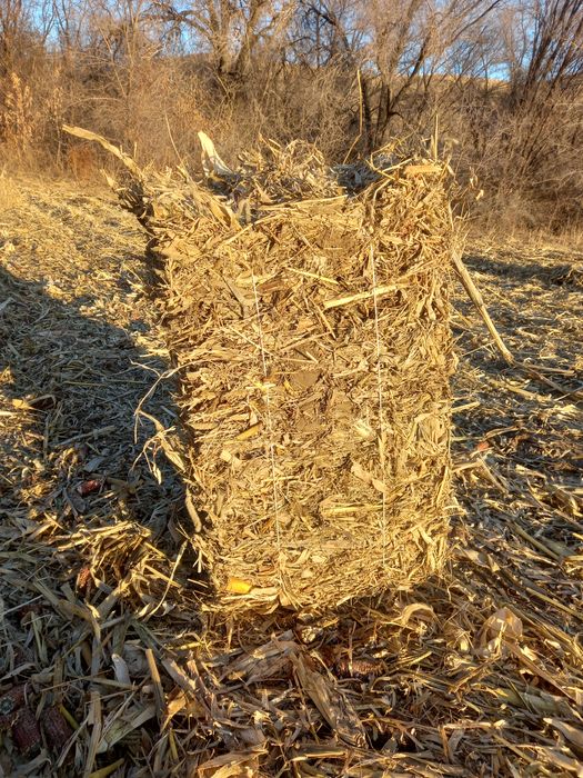 Продам сено кукурузы в тюках