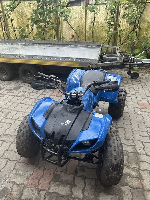 vand atv 125 3+11