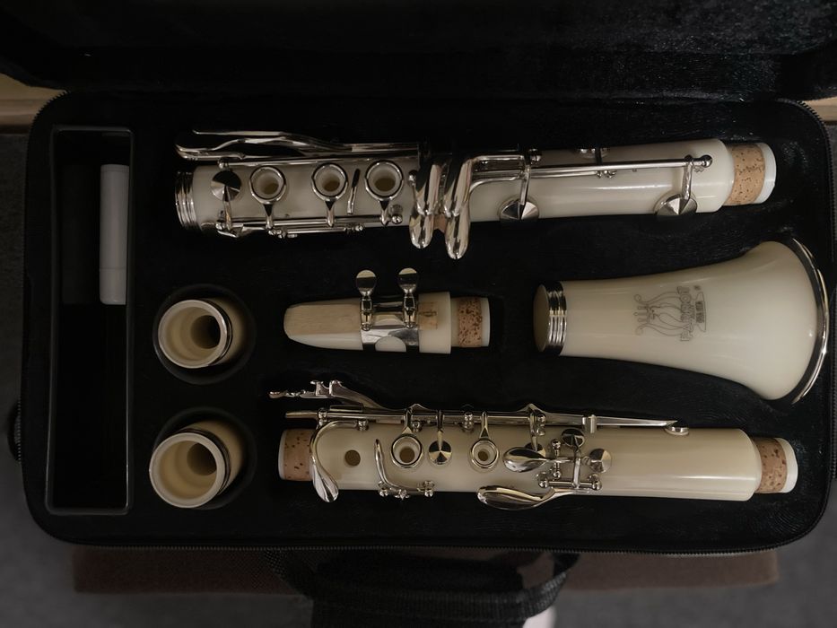 Clarinet Parrot complet – stare excelentă, 600 lei negociabil