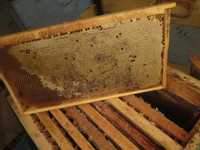 Рамки для пчел / Asalari ramkasi