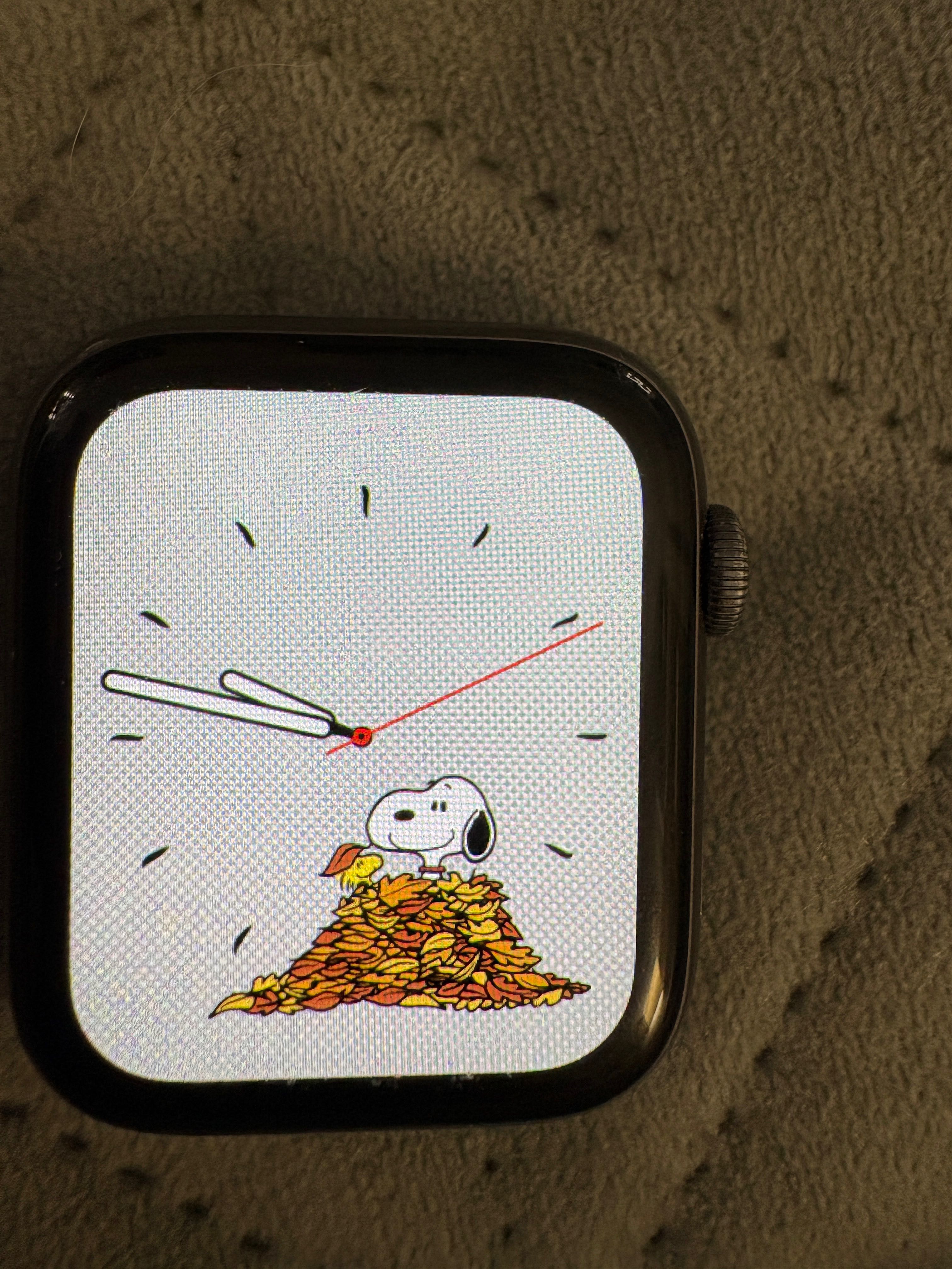 Apple Watch 4/44mm
