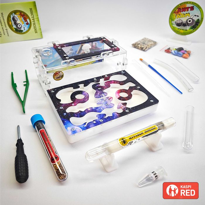 Муравьиная ферма - Муравьи жнецы ||| ГИПСОВЫЙ Формикарий "PREMIUM"