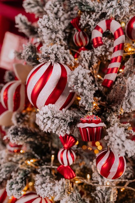 Sedinte foto de Craciun