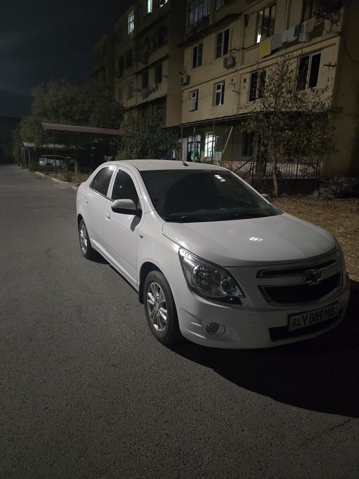Cobalt ltz full pazitsya