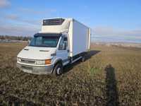 Iveco daily 65C15 Frigorific