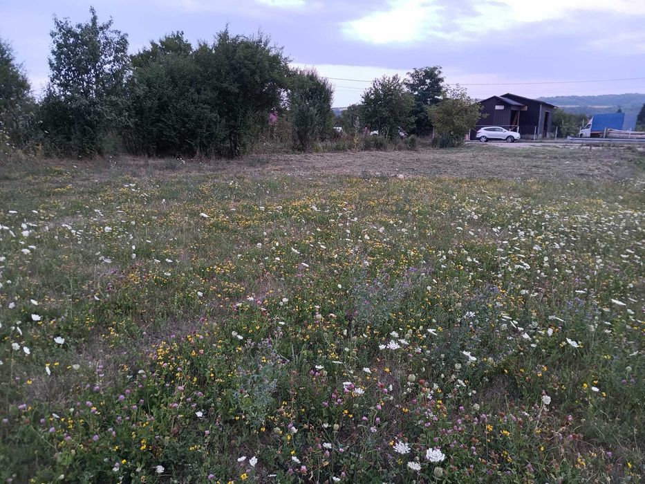 Teren intravilan Casin, strada Mocanitei, suprafata 2100mp