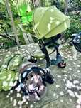 Catut 3 in 1 stokke v5