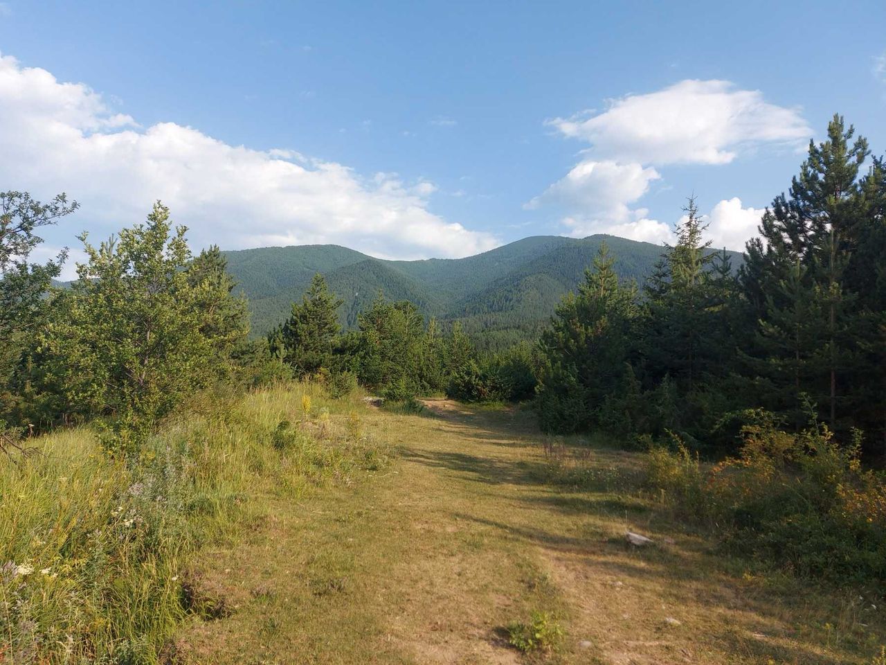 Продава се Земеделски имот в Банско -  кв.м за 80 €/дка - Снимка #6