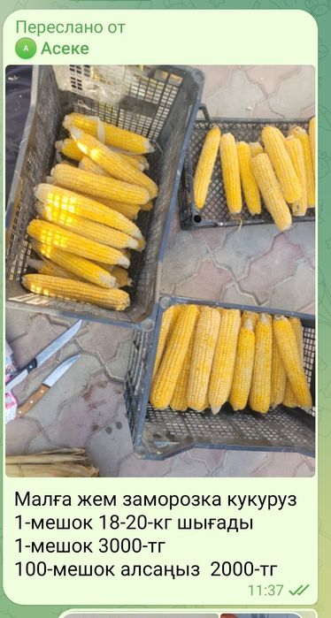 Малға жем корм..