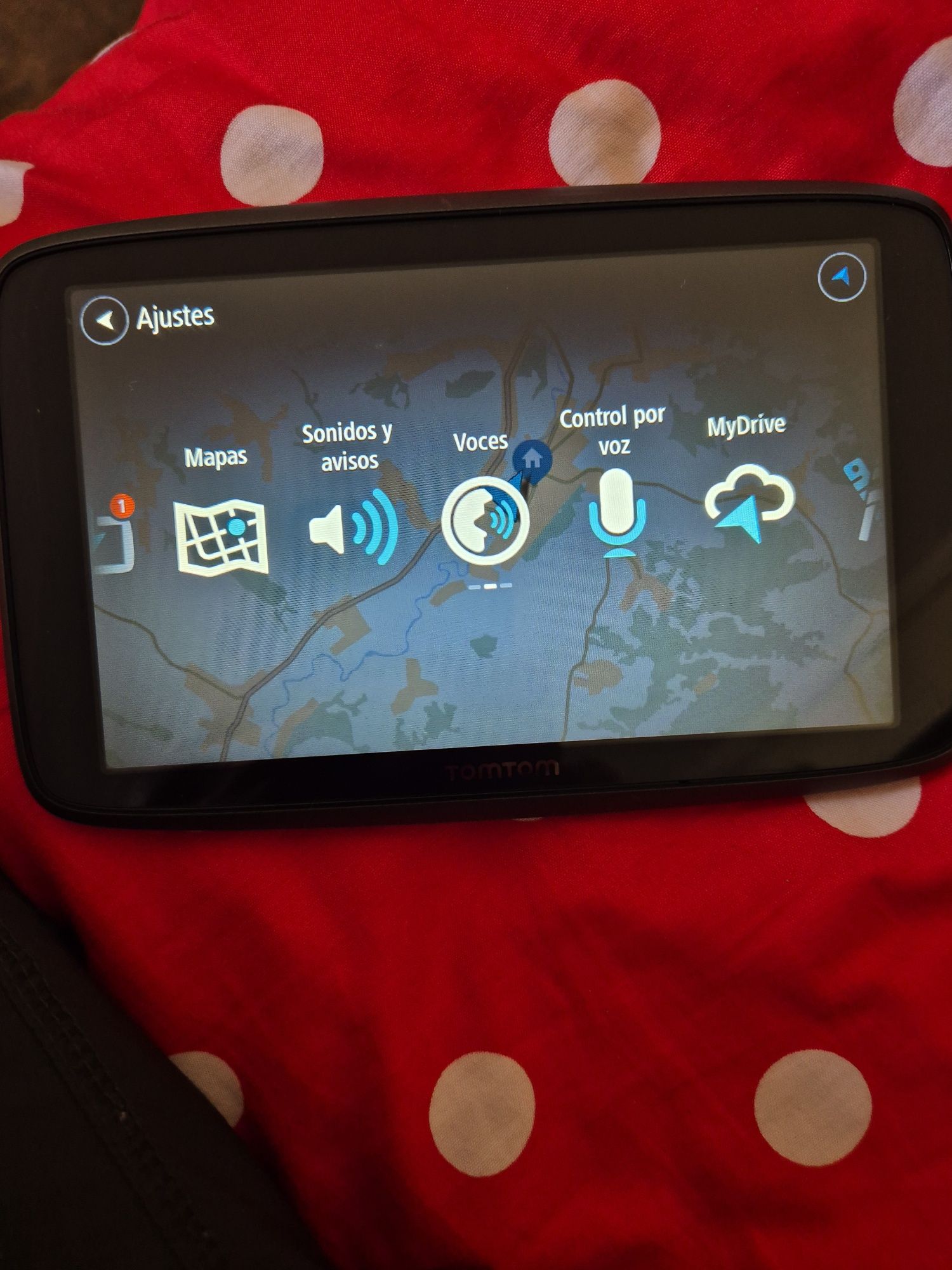 GPS TomTom, profesional