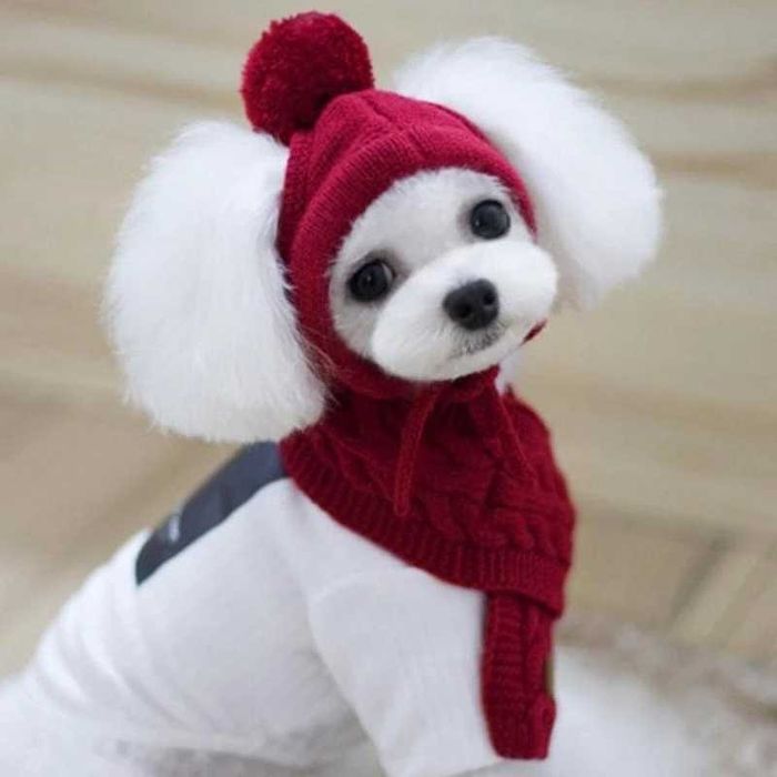 Шапка за кучета Зимна топла плетена