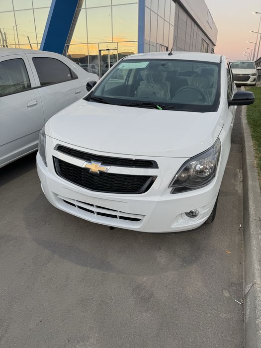 Cobalt midnayt mcm 2026