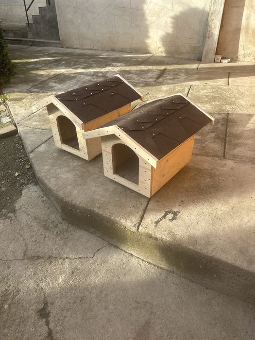 Cușcă căsuțā coteț câine talie mica. Livrare toata țara cu 10 lei