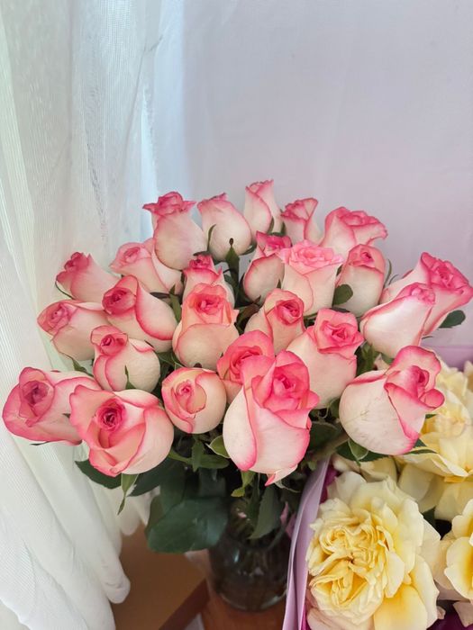 Гул,гүл,букет,роза