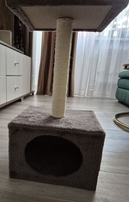 Ansamblu joaca pisici,